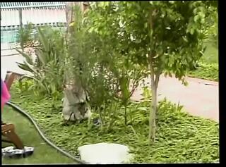 Video 1659053491: cailey taylor, vintage lesbian strapon, retro lesbian strapon, vintage retro sex, vintage lesbian pussy, retro lesbian babes, blonde vintage retro classic, lesbian beauty strapon, strapon loving lesbians, lesbian sex eating pussy, lesbian eats pussy outdoors, hottest lesbian sex, lesbian straight, vintage english, sex copulating, coitus