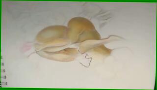 Video 1659191875: uncensored solo, amateur solo porn, babe solo homemade, student uncensored, teacher uncensored, exotic homemade solo, cute babe solo, babe loves solo, amateur solo guy, black solo amateur, solo pornstar, behind uncensored, men uncensored, skin solo, solo privat, brown solo, boss porn