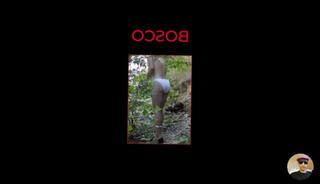 Video 1585242233: lesbian solo masturbation, solo masturbation sex toys, amateur girl solo masturbation, lesbians masturbation orgasm, solo male sex toy, solo female masturbation, italian lesbian, 60fps amateur