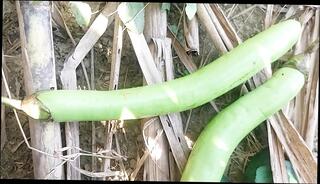 Video 1655737471: daddy fucks twink bareback, twink bareback fucks cum, twink bareback ass fucking, twink anal fucks bareback, twink fucked bareback gay, twink bareback fucking teen, african twinks bareback fuck, bareback fuck young twink, twink dildo cum, big dick twinks bareback, twink big cock bareback, twinks bareback cumshot, twinks blowjob bareback, barebacks black twink, anal dildo fucking fisting, anal masturbation dildo ass, gay twink fucks straight, bareback fuck cum eating, bareback fucking guys ass, dads fuck twink, bareback fucking gay man, twink handjob cum, twink bathroom cum, fucking massive dildo, twink cum load, indian twink fuck, fucking bareback hd, very ass, long ass