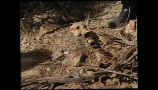 Video 1656062691: julian rios, rio lee, chloe jones, vintage blowjob compilation, milf blowjob compilation, beautiful vintage milf, compilation milf hd, milf sucks rides, milf girl sucks, vintage babe sucks, straight blowjob compilation, milf sucks plays, milf perfect blowjob, vintage story, sucks penises, sucking penetrating, big penises