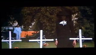 Video 1568844051: street lady, straight street