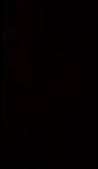 Video 1562001901: swinger husband, swinger wife, swinger girl, arab swingers, wife gf, straight husband