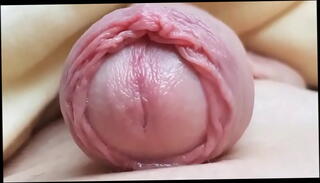 Video 1274229975: hard dick soft