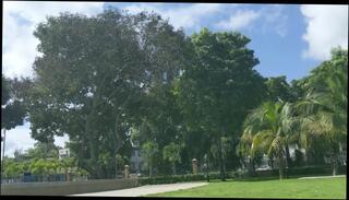 Video 1600425893: slut step sis, sis deep throat, blowjob step sis, big tit step sis, amateur step sis, sis big boobed, sis cum, latin step sis, ebony step sis, cute step sis, hot step sis, brunette step sis, friends sis, amateur wife cum slut, cum slut girl friend, slut hardcore deep throat, horny sexy slut, neighbors slut wife, slut deep throats black, horny beauty slut, brazilian big boobs girl, amateur colombian girl, 19 years girl friend, babysitter deep throats, park slut