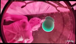 Video 1663127451: kaylynn, solo dildo pov ride, riding big dildo solo, big ass solo dildo, pov dildo blowjob, pov dildo masturbation, solo amateur dildoing, solo female dildo, solo masturbating straight, dildo ride hd, big dildo orgasm, one big dildo