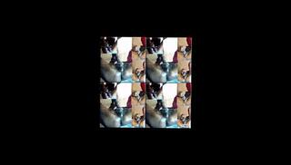 Video 1654718823: bbc masturbation cum, amateur bbc cum, bbc cum shot, bbc stroking cumming, bbc jerk, masked bbc, man bbc, penis