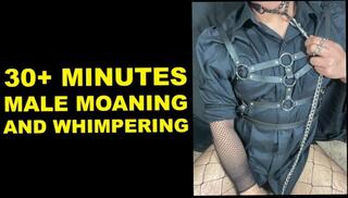 Video 1621759893: moaning compilation, male masturbation compilation, amateur compilation