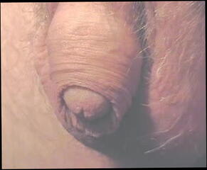 Video 25985101: cock closeup, closeup shots, gay man cock