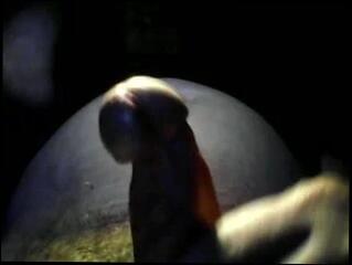Video 227482501: gay man cumshot, girl cumshot, nice girl