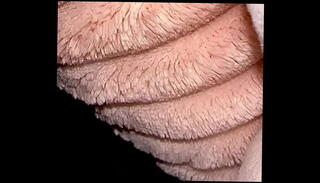Video 1590987015: bbw doggy style anal, amateur sex couple bbw, couple homemade doggy style, cock doggy style sex, blowjob anal doggy style, big cock bbw anal, doggy style rough anal, monster big dick, big dick man
