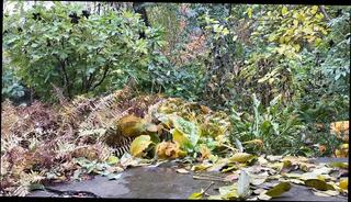 Video 1656793091: bbw milf doggy style, milf pissing pee, pissing mature bbw milf, bbw milf stepmom, homemade amateur milf stepmom, tit bbw milf moms, ass stepmom doggy style, big ass stepmom doggy, milf pussy doggy style, hot mom stepmom bbw, pee standing doggy style, pee pissing outdoor, pissing peeing wetting, taboo milf stepmom, beautiful milf stepmom, stepmom milf public, woman stands doggy style, hottest homemade doggy style, women doggy style, hot pee straight, doggy style leggings, doggy style hd, ukrainian bbw