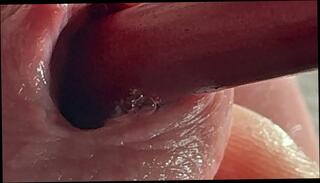 Video 1630688301: massage big cock oil, oil massage cum, oil penis massage, oil massage masturbation, twink piss cum, oil massage handjob, oil massage cumshot, oil massage gay, oil massage fuck, amateur oil massage, gay twink bdsm, first oil massage, closeup oil, gay twink fucks straight, cock balls massage, cock fuck white twink, twink erections gay, gay twink fuck bear, twink gay guys fuck, gay man fucking twink, homemade amateur closeup, massage urethra insertion, urethra pee, bdsm urethral sounding, piss cock play, pissing gay first time, cock european twink, twink shaved cock, closeup penetration, gay german twink, hd massage fuck, pee hole insertion, pee inside, oil close, urethra vibrator