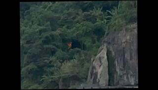 Video 1665311915: gay bareback big cock, amateur bareback cock, long cock bareback, gay mature bareback, bareback pornstar, man bareback, cowboy cock, germany gay, amateur canada, hot big cock