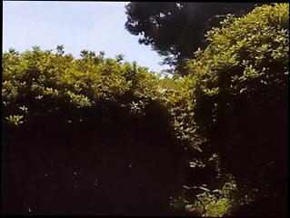 Video 1582873081: cumshot masturbation gay solo, solo public masturbation, solo outdoor masturbation, japanese solo masturbation, solo masturbation hd, cumshot naked, park cumshot