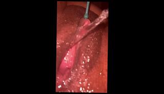 Video 1655315433: cumshots creampie squirting compilation, bbc squirt compilation, lesbian squirt compilation, solo squirt compilation, amateur creampie cumshot compilation, massive cumshot creampie compilation, lesbian couple squirting, creampie sex squirting, massive squirting creampie female, ebony squirt compilation, halloween compilation