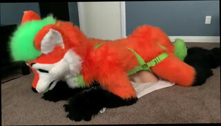 Video 1418394025: toy boy solo, solo boy fucking, solo toying ass, furry butt, big butt solo, big dick furry