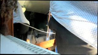 Video 1623390573: amateur webcam solo, male solo webcam, skin solo