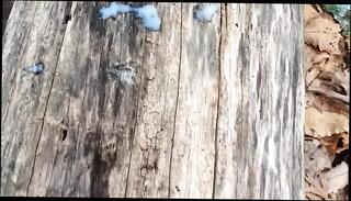 Video 1598845031: cumshot masturbation gay solo, solo jerk cumshot, solo jerk cum, solo hunk jerks, solo wank cumshot, solo orgasm cum, solo amateur jerking, man solo jerk, solo outdoor cum, best solo orgasm, solo public masturbation, white solo masturbation, european solo masturbation, young solo masturbation, solo dutch, jeans solo, solo outside, good orgasm