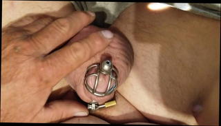 Video 1566368711: bdsm cage, cage ball, gay bdsm, cage big, hd bdsm