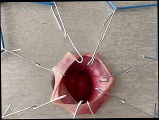 Video 1601398941: bdsm gay porn, bdsm handjob, bdsm funny, torture