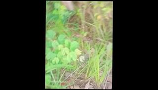 Video 1590131283: twink solo cumshot, solo twink jerks, big dick twink solo, twink solo big cock, gay twink creampie, twink solo cum, solo twink masturbation, solo amateur twink, asian twink creampie, hot twink solo, solo guy jerks cock, solo male masturbation cumshot, twink handjob cumshot, gay twink pinoy, twink jerking outdoor, men solo cumshot, gay twink public, twinks outside, hottest cumshot