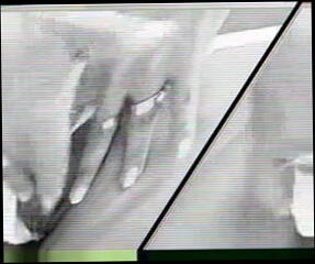 Video 8509701: webcam cam, straight cam, cam office, office toy