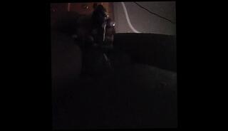 Video 1633364243: bbc solo male cumshot, solo masturbation chubby, chubby amateur solo, solo man masturbation cumshot, bbc explodes