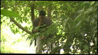 Video 510866265: cock big dick gay, big dick monster cock, dick fucks guy, gay cock outdoors, fucked exhib