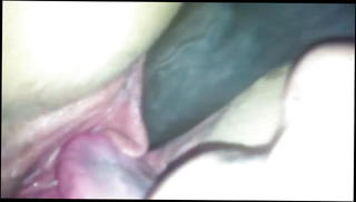 Video 1525099301: slut whore bitch, slut straight, black ghetto bitch