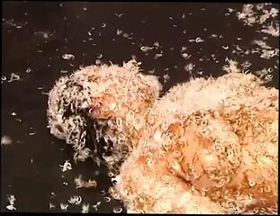 Video 1620348071: bdsm fetish slut, wax punishment, compilation punish, bdsm wax play, nipples punished, spanking punishment, slut tormented, straight punished, punishment game, tied punished, one punishing, whipping