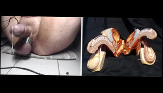 Video 1664246075: cbt bdsm, sperm closeup, cockring cumshot, sperm ejaculation