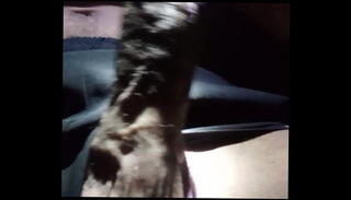 Video 1524260905: milf solo masturbation, solo masturbation big dick, homemade milf big cock, solo masturbation handjob, solo boy masturbation, milf big cock blowjob