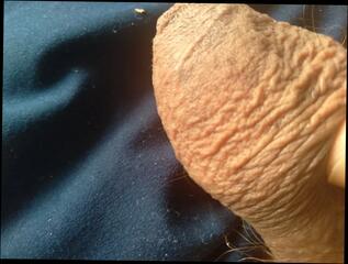 Video 1658223421: bbc gay bareback, monster bbc bareback, huge bbc bareback, boys bareback gay hardcore, monster cock bareback gay, huge cock bbc cums, latino gay hardcore bareback, bareback young gay boy, gay bareback big cock, bareback homemade gay, monster cock bareback breeding, giant cock bareback, penis bareback, erect bbc, gay man bareback, bbc hd, large penis