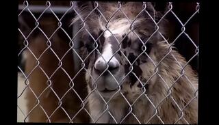 Video 1662850981: brittney skye, cock riding doggy fucking, blowjob ass fucked doggy, hard cock fuck doggie, fucking doggy style riding, beauty ass fucked doggy, dick doggy style fucking, fucking big cock doggy, tits fucked doggy style, doggy style fucking harder, doggy sweet fucking, natural tits doggy style, doggy style fucking blonde, doggy style nude, doggy style straight, doggy style hair, doggy style hd, large natural tits fucked, riding hard pecker, big english cock