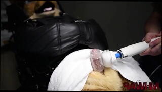 Video 1477369805: bdsm gay bondage, bondage milking, gay furry