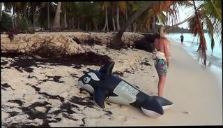 Video 114002404: riding inflatable, bikini beach girls, inflatable play, fetish hd