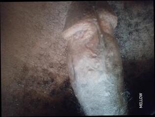 Video 1657941481: vintage massage, massage gay porn, vintage homemade porn, massaging hard dick, hd massage porn, massage masturbation, massage handjob, massage cum, massage alone, massage play, african massage, home massage, long massage, massage first, black dick masturbation