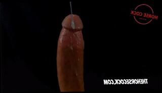 Video 1592723773: pov cock worship, pov solo cumshot, solo male pov, dick stroking gay solo, cock worship cum, pov big dick cumshot, cock cum hard solo, worship daddy's cock, amateur pov dick, big white dick pov, creamy pov, dick play cum, slow cum