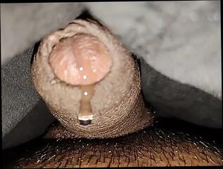 Video 1655102541: brother step sister homemade, brother step sister porn, brother step sister hardcore, indian brother step sister, gay porn brothers, young gay brother, brother cumshot, old indian step sister, sister close, pornstar cum swallow, handjob masterbation, fucking masterbating, sex fuck love