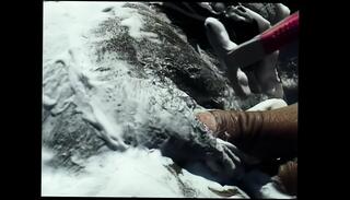 Video 1664861021: sierra lewis, big cock blowjob cumshot, big cock straight, big cock lust, big english cock, big cock hd