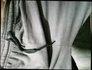 Video 1665965751: solo jerking stud, stud solo masturbation, solo male masturbation pov, amateur stud solo, pov solo teen, pov solo big, pov teen jerking cock, solo cock masturbation cum, solo gay boy masturbates, dick solo masturbating cumming, cock masturbation solo cumshot, amateur homemade solo masturbation, solo indian boy jerking, cum huge cock pov, straight stud jerks, young boy solo masturbation, webcam solo cum, stud strokes cock, studs massive cock, huge cum load pov, desi boy solo, jerks pov guy, stud dude, cum close solo, asian boy solo, teen pov hd, big hard cock