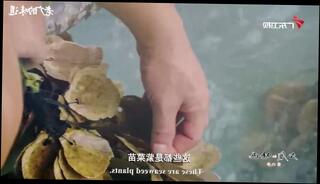 Video 1597453193: yummy pov, juicy pov, old pov, asian pov, young pov