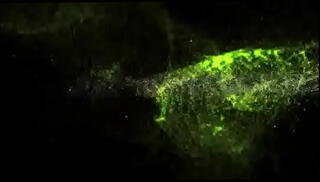 Video 1656730145: femdom pussy, femdom blowjob, pussy cream