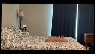 Video 1665963763: milf solo dildo, solo dildo masturbation orgasm, dildo toys solo girl, sex dildo toys solo, solo girl dildo ride, amateur milf riding dildo, ass milf rides dildo, dildo fucking amateur milf, solo pussy dildo fuck, milf rides big dildo, solo dildo slut, wife solo dildo, solo homemade dildo, solo male dildo, solo female dildo, dildos masturbation toys alone, milf home alone masturbating, stretched dildo toyed, solo male sex doll, rides big red dildo, red head milf fucked, three cocks
