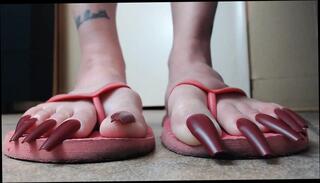 Video 1664541881: foot fetish flip flop, foot fetish dirty, amateur foot fetish, foot fetish red, foot fetish play, foot fetish close, foot fetish hd, straight foot, pink flip flops, long foot, standing foot