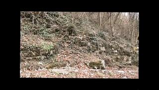 Video 1656790541: milf hairy pussy fuck, tits milf hairy pussy, hot milf hairy pussy, hairy pussy mature milf, milf cougar fucks, milfs hairy cunt, hairy milf big boobs, cougar milf big cock, milf cougar hard, blowjob hairy pussy fucked, hairy twat fucked hard, hairy snatch fucked, hairy vagina fucked, nude hairy pussy, hairy pussies straight, milf fucking harder, giant boobs milf, hottest hairy pussy, hairy pussy hd, milf large