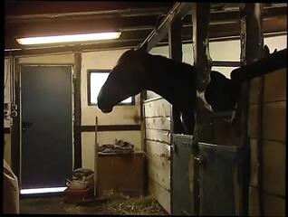 Video 1661580731: cougar lesbian pussy licked, milf pussy licking lesbian, milf lesbian eats pussy, lesbian milf girl, mature lesbian cougars, naughty lesbian milf, brunette milf cougar, german lesbian milfs, pussy licking lesbian shaving, lesbian pussy licking outdoors, lesbian licking twat, lesbian snatch licking, lesbian cunt licking, lesbian chicks licking, lesbian straight girl, lesbian tongue pussy, lesbian cuties lick, lesbian vagina, hot pussy