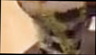 Video 1050724401: amateur homemade big ass, big ass straight, arab ass dance