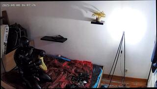 Video 1639020041: femboy solo anal, femboy solo masturbation, amateur femboy solo, latex femboy, solo anal toy masturbation, gay anal solo, anal solo man, solo masturbation hd, insertion solo